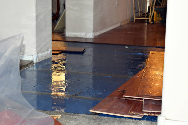Professional Basement Flood Cleanup technician working in Sandstone, MN